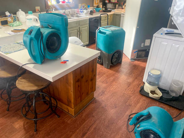 Best Water damage restoration near me  in Gold Hill, OR