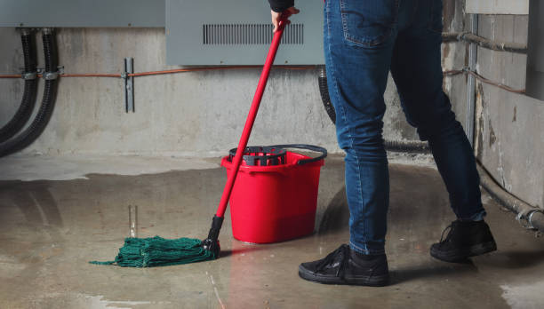 Best Water damage restoration process  in Gold Hill, OR
