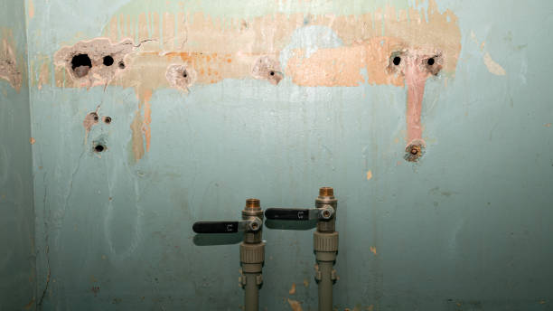 Best Professional water damage repair  in Gold Hill, OR