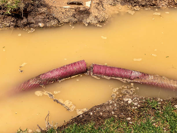 Best Commercial water damage restoration  in Gold Hill, OR