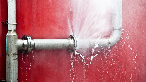 Best Mold removal after water damage  in Gold Hill, OR